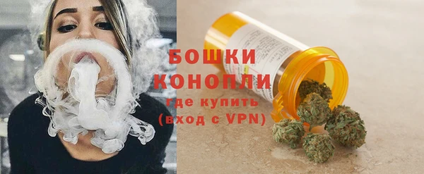 PSILOCYBIN Аркадак