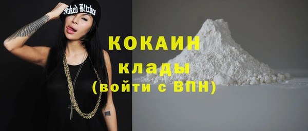 спайс Арсеньев