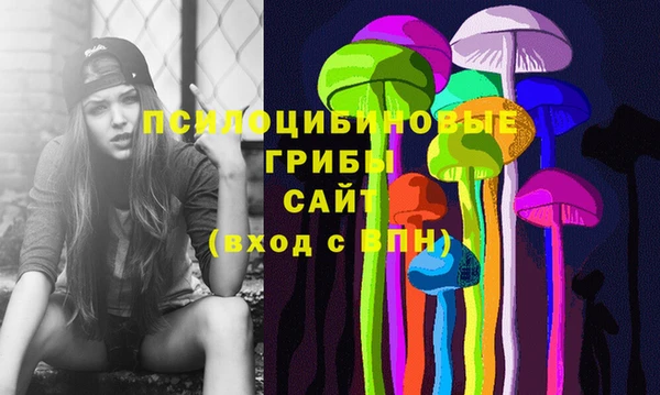 2c-b Армянск
