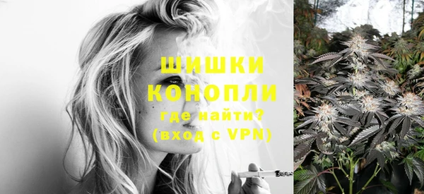 PSILOCYBIN Аркадак