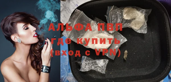 PSILOCYBIN Аркадак